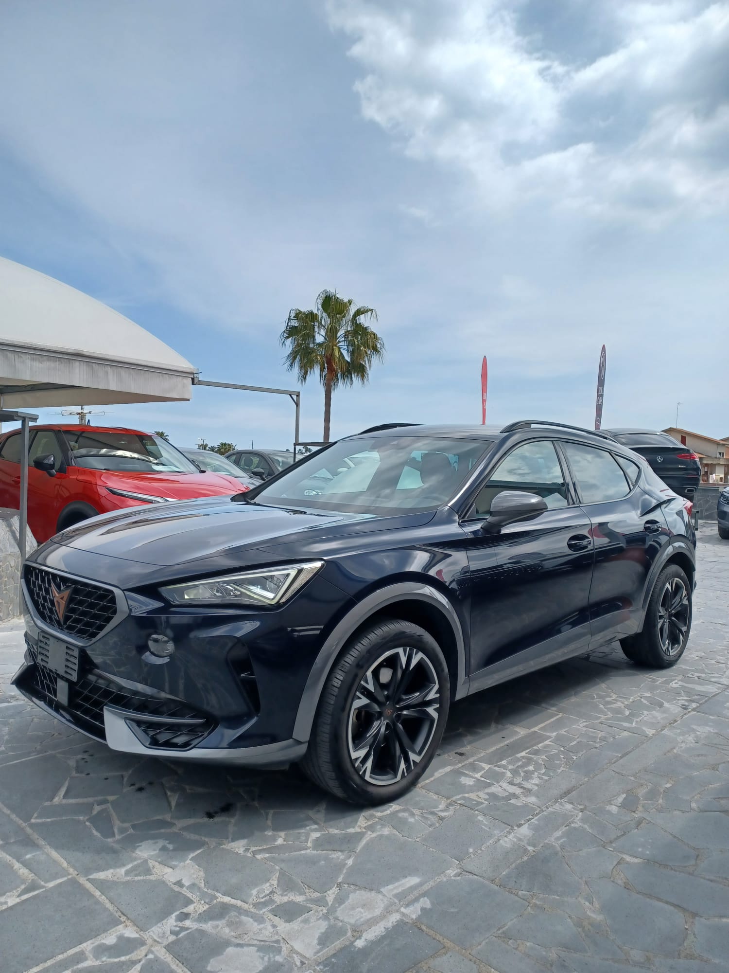 Cupra Formentor 2.0 TDI 150 cv
